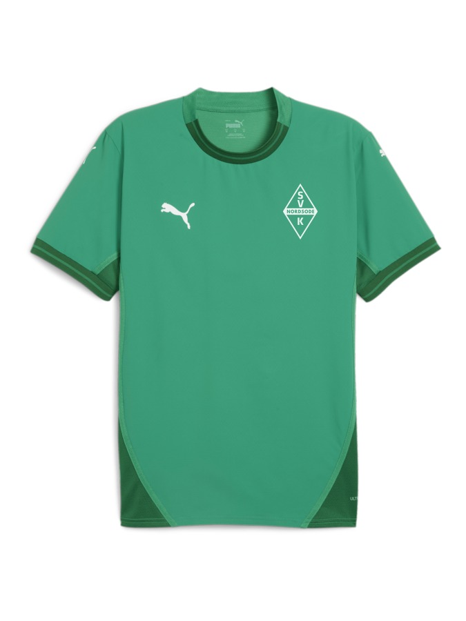 PUMA teamFINAL Trikot