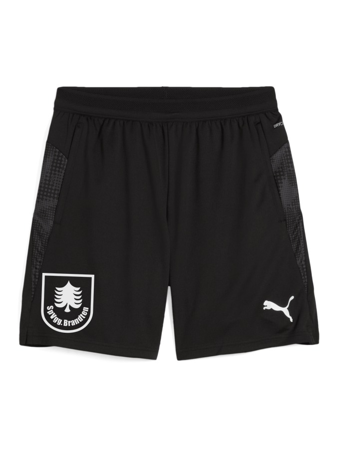 PUMA teamCUP Training Shorts