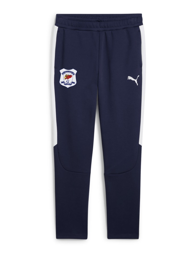 PUMA teamEVOSTRIPE Hose