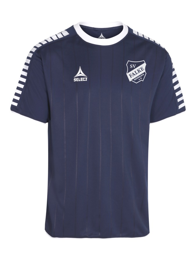 Select Argentina Trikot