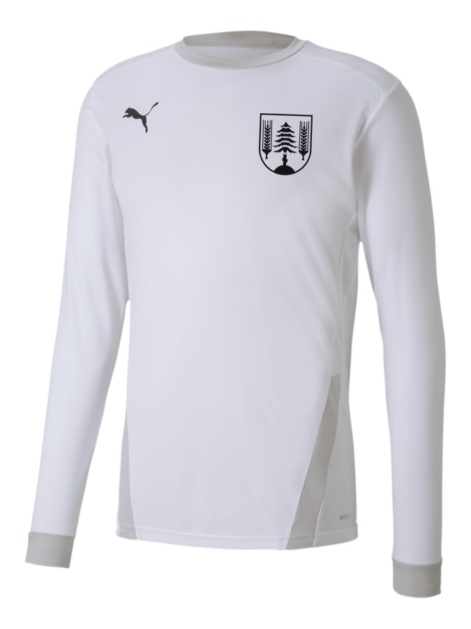 PUMA teamGOAL 23 Longsleeve