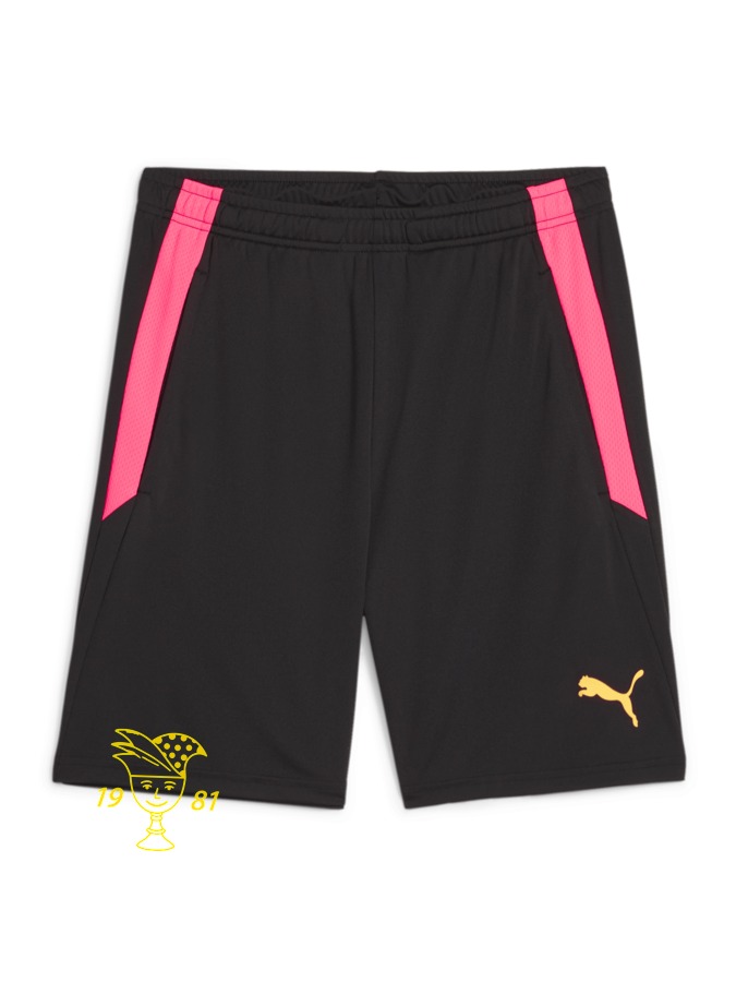PUMA teamLIGA Training Shorts 2 (Offene Taschen)