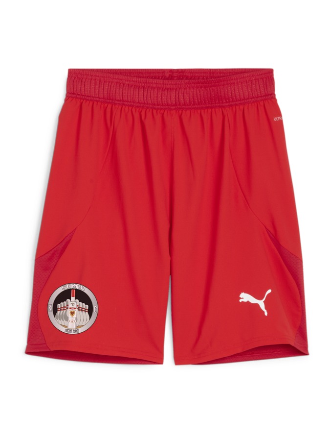 PUMA teamFINAL Shorts