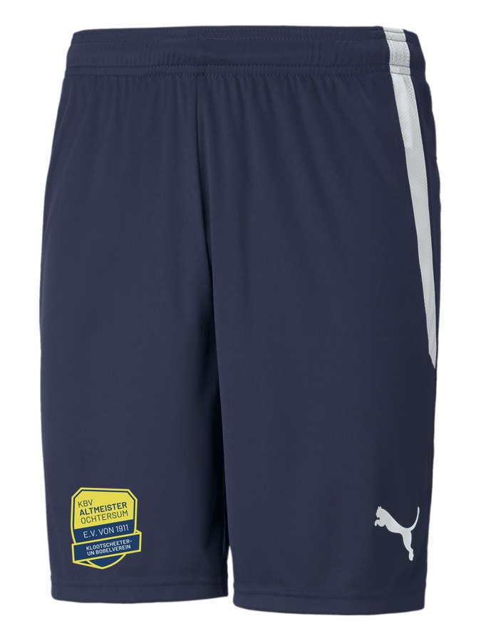 PUMA teamLIGA Shorts