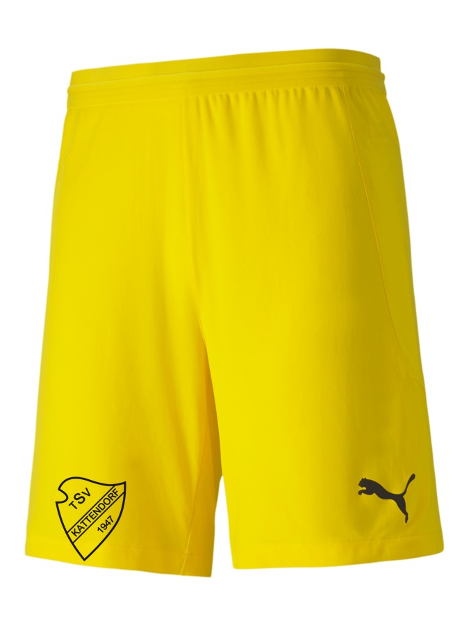 PUMA teamFINAL 21 Knit Shorts