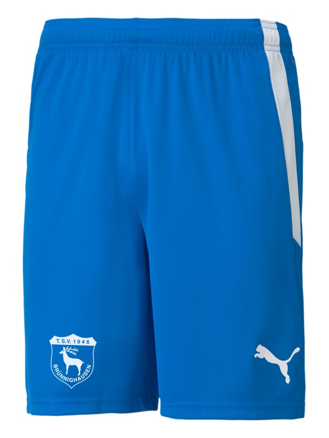 PUMA teamLIGA Shorts
