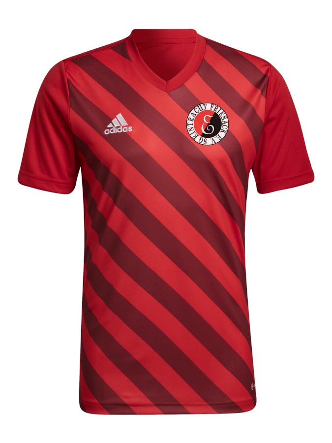 adidas Entrada 22 GFX Trikot