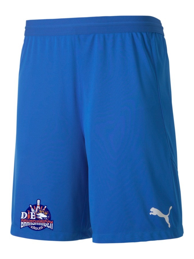PUMA teamFINAL 21 Knit Shorts