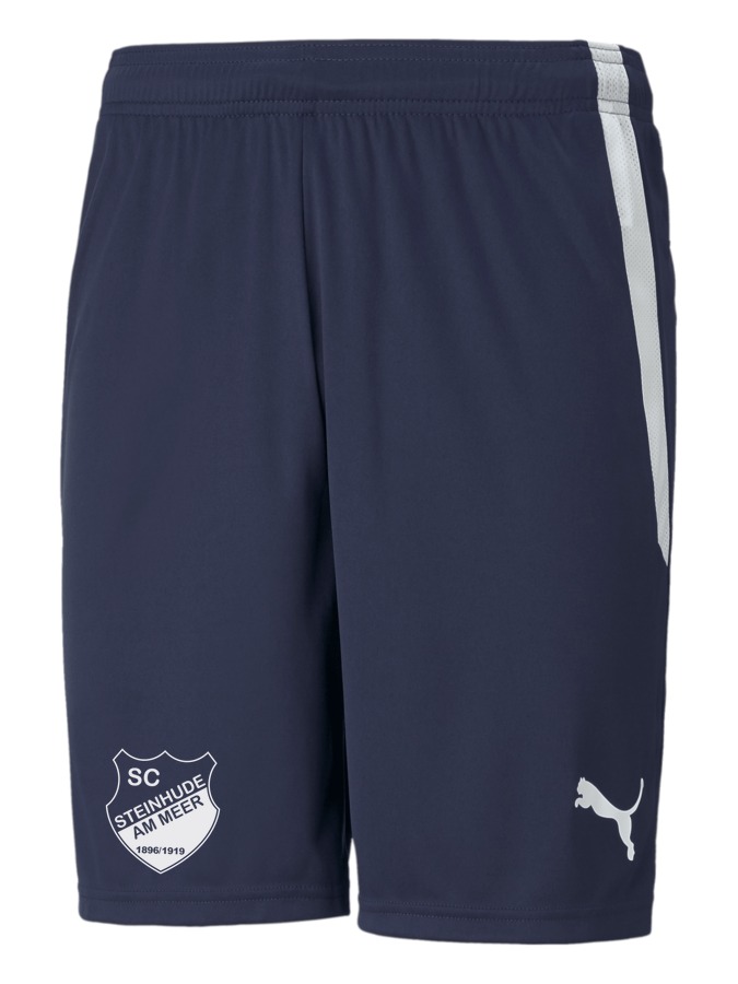 PUMA teamLIGA Shorts