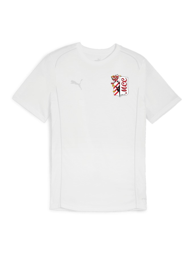 PUMA teamFINAL Casuals T-Shirt