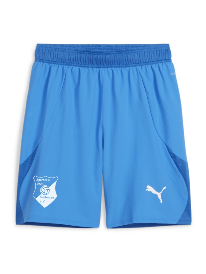 PUMA teamFINAL Shorts