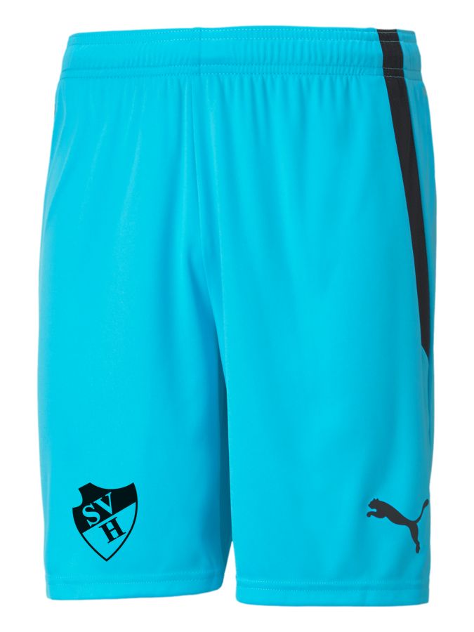 PUMA teamLIGA Shorts