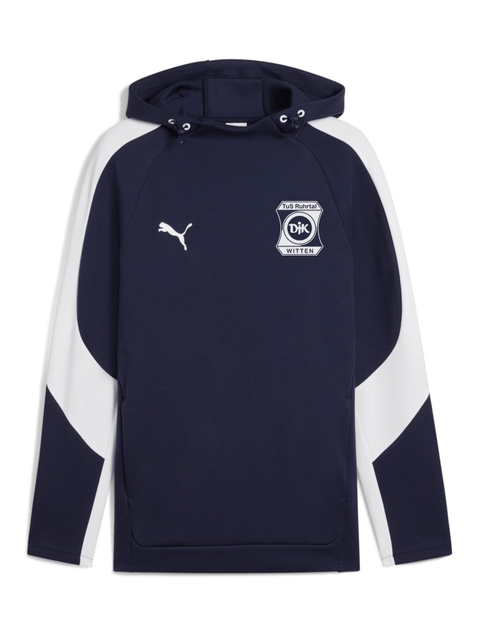 PUMA teamEVOSTRIPE Hoody