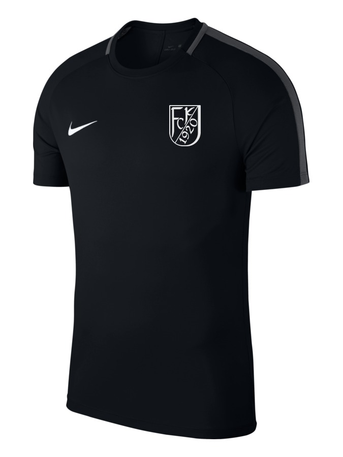 Nike Academy 18 Top