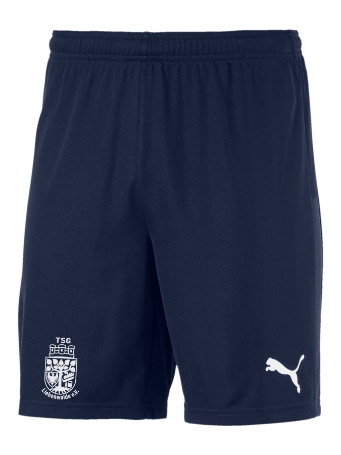 PUMA teamGOAL 23 Knit Shorts