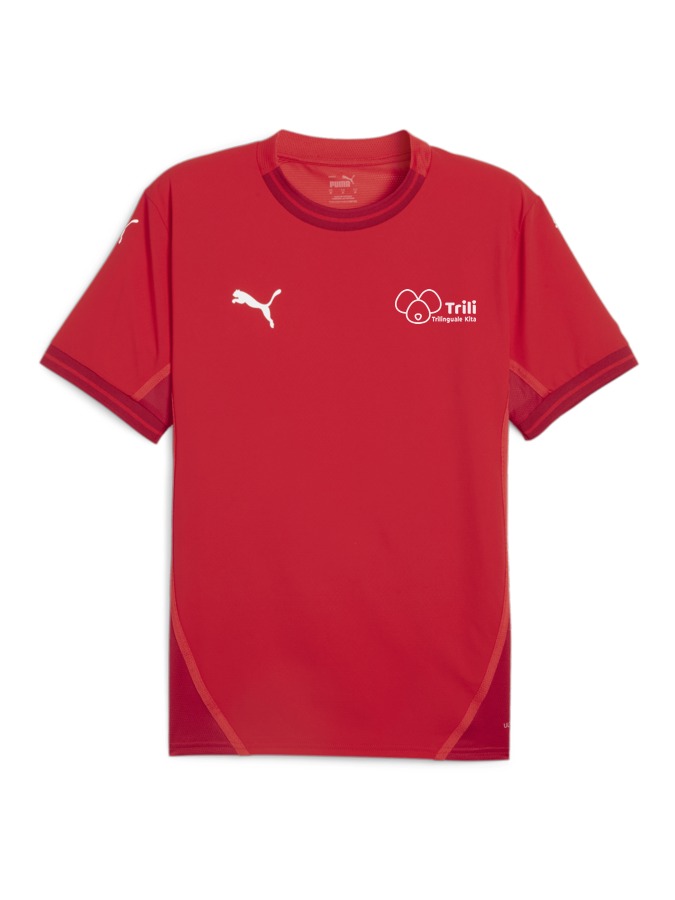 PUMA teamFINAL Trikot