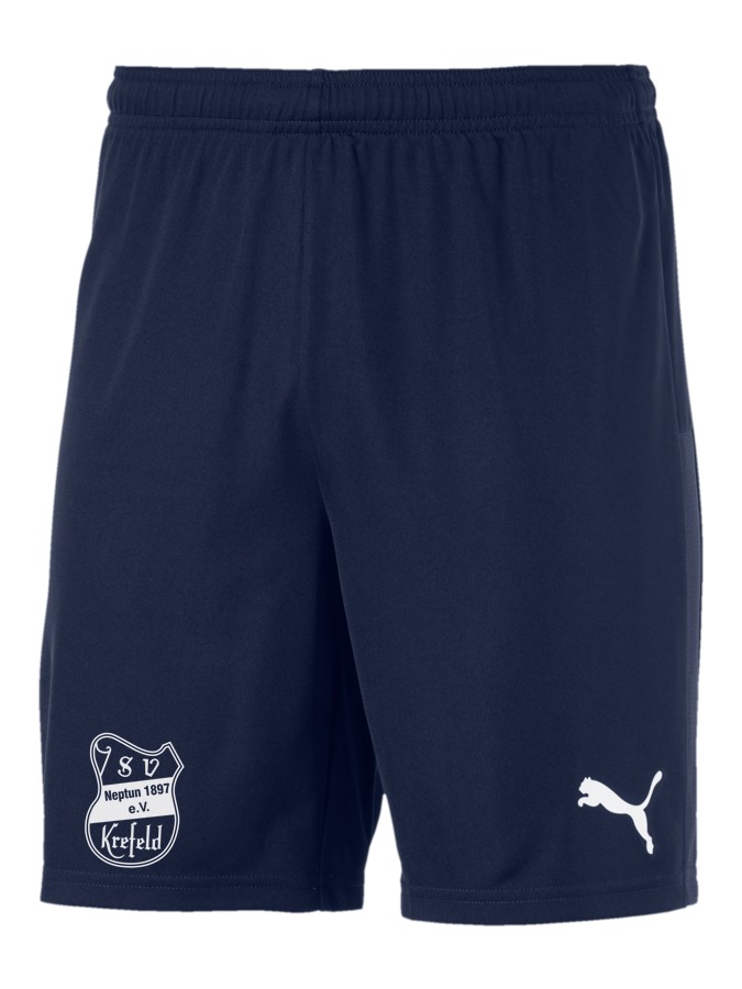 PUMA teamGOAL 23 Knit Shorts