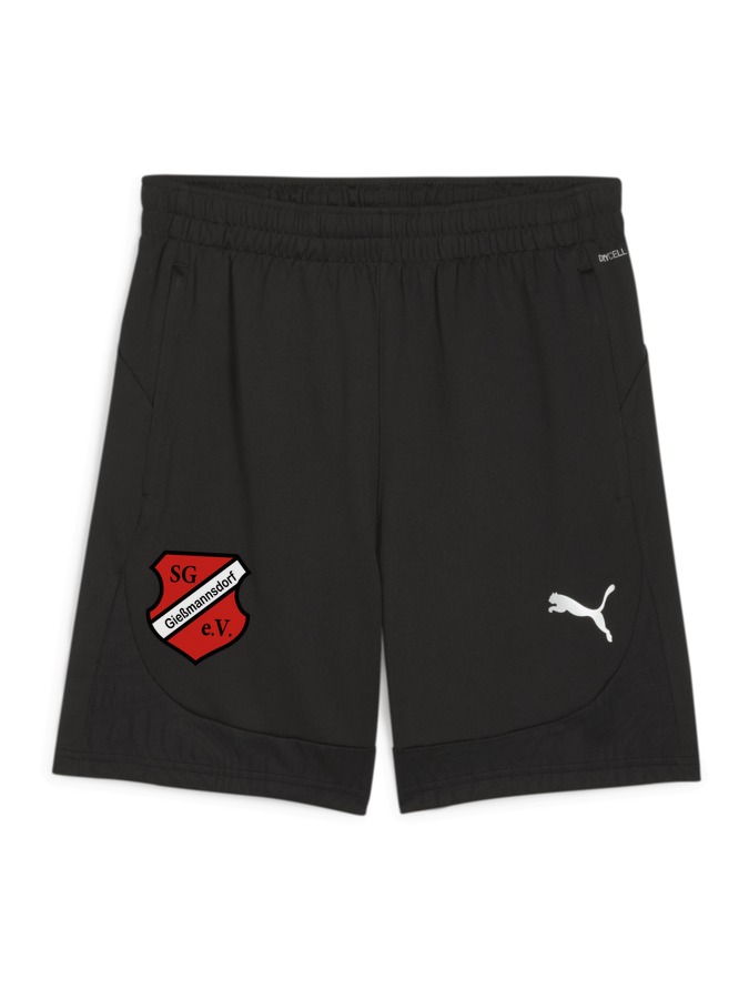 PUMA teamFINAL Training Shorts