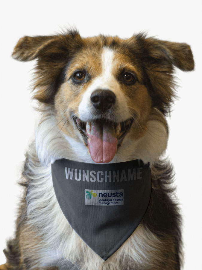 Hundehalstuch