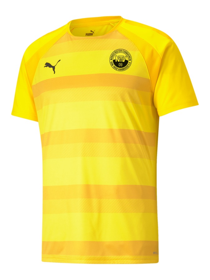 PUMA teamVISION Trikot