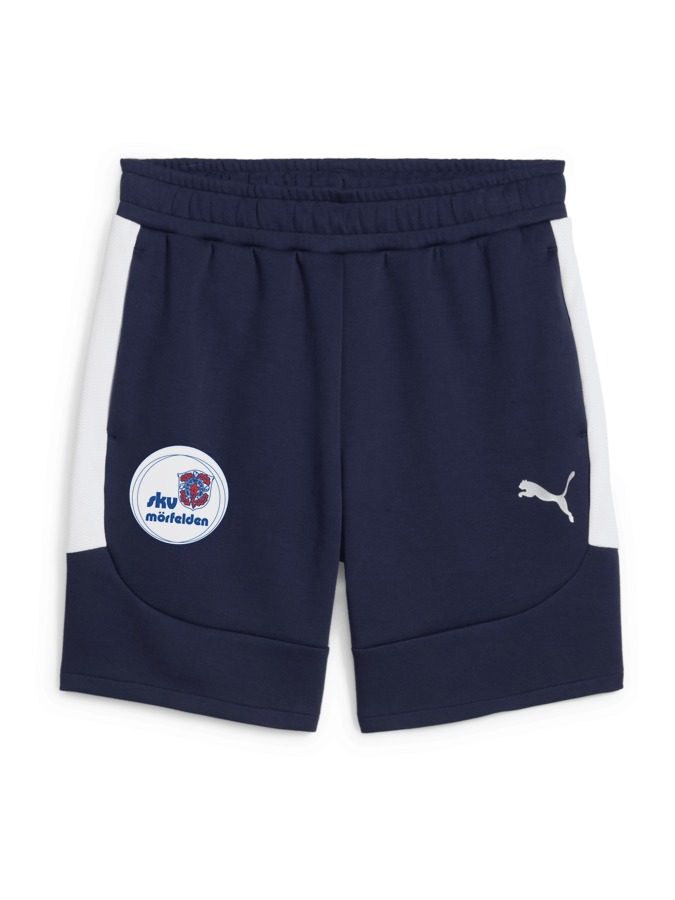 PUMA teamEVOSTRIPE Shorts