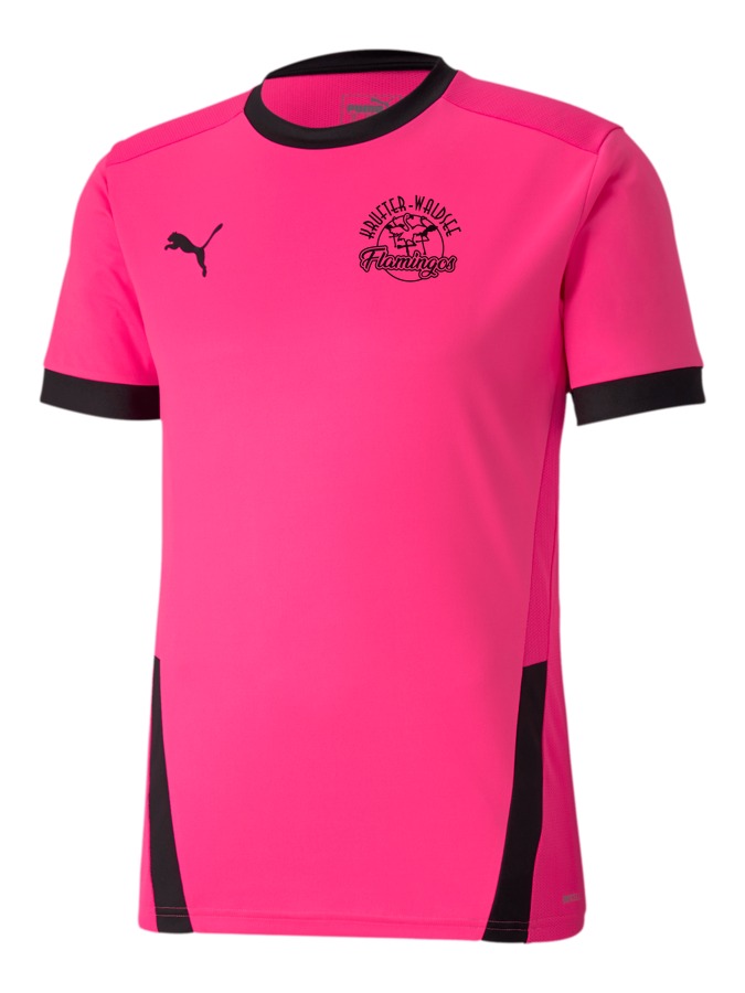 PUMA teamGOAL 23 Trikot