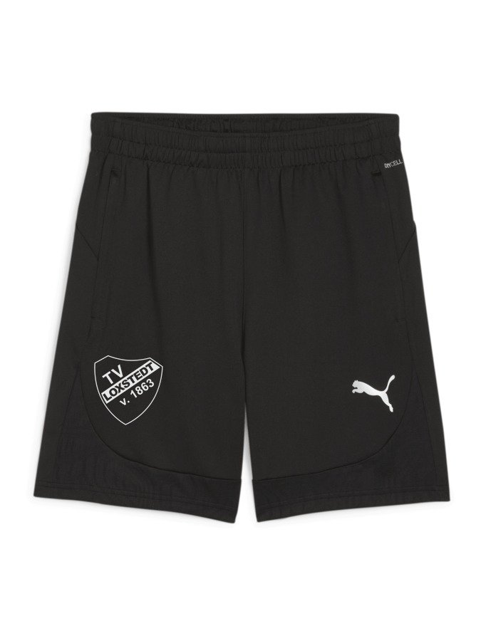 PUMA teamFINAL Training Shorts