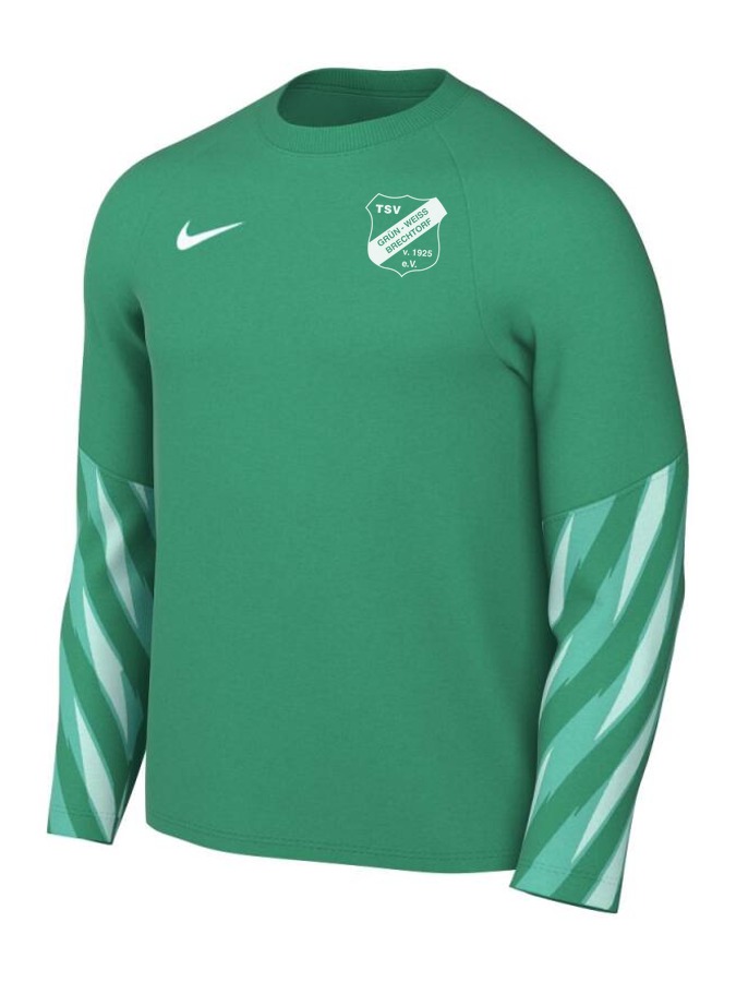 Nike Dri-FIT Park V Torwart Trikot Langarm