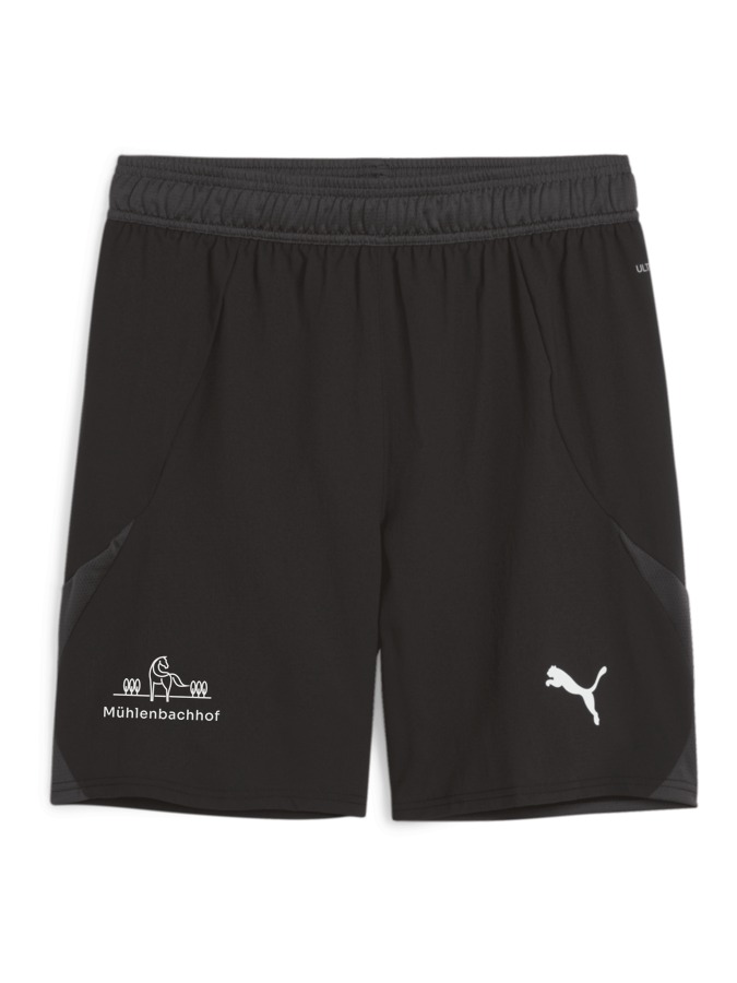 PUMA teamFINAL Shorts