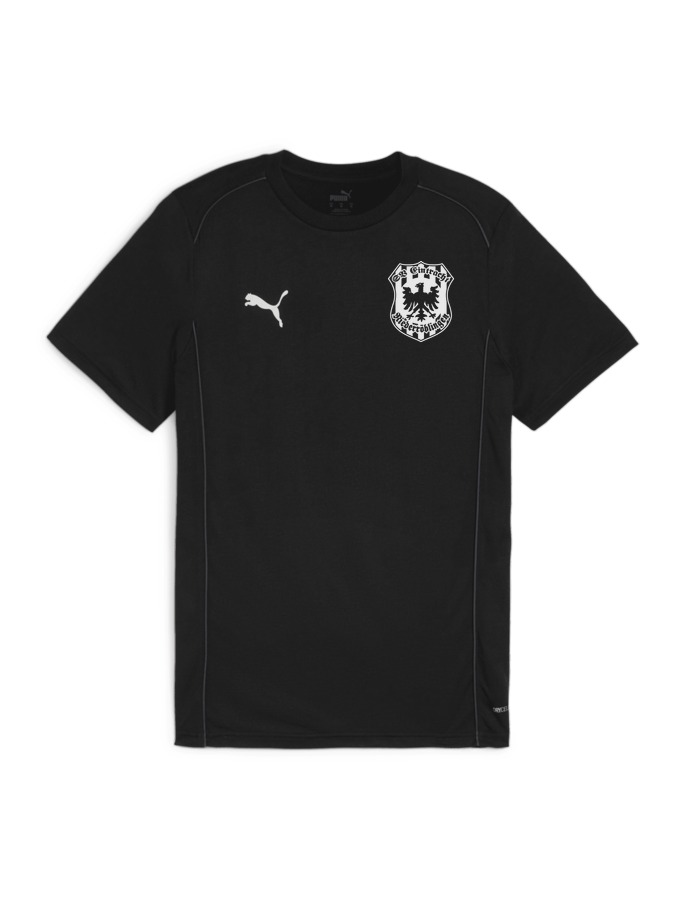 PUMA teamFINAL Casuals T-Shirt
