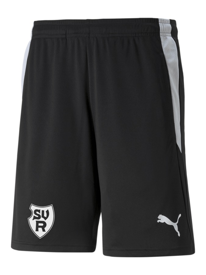 PUMA teamLIGA Referee Shorts