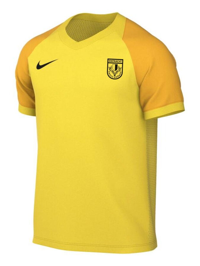 Nike Trophy VI Trikot