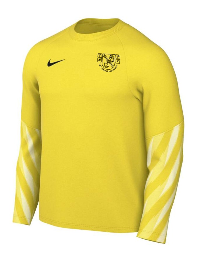 Nike Dri-FIT Park V Torwart Trikot Langarm