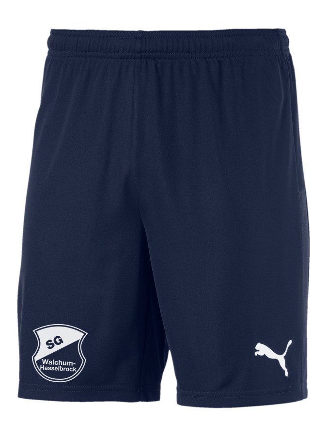 PUMA teamGOAL 23 Knit Shorts