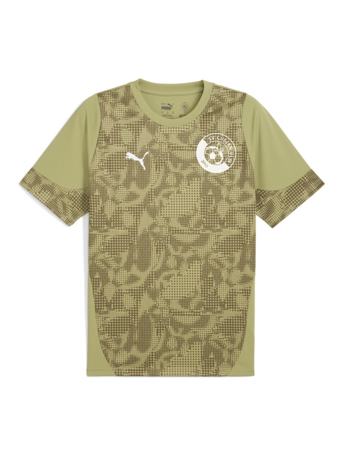 PUMA teamCUP Trainingsshirt