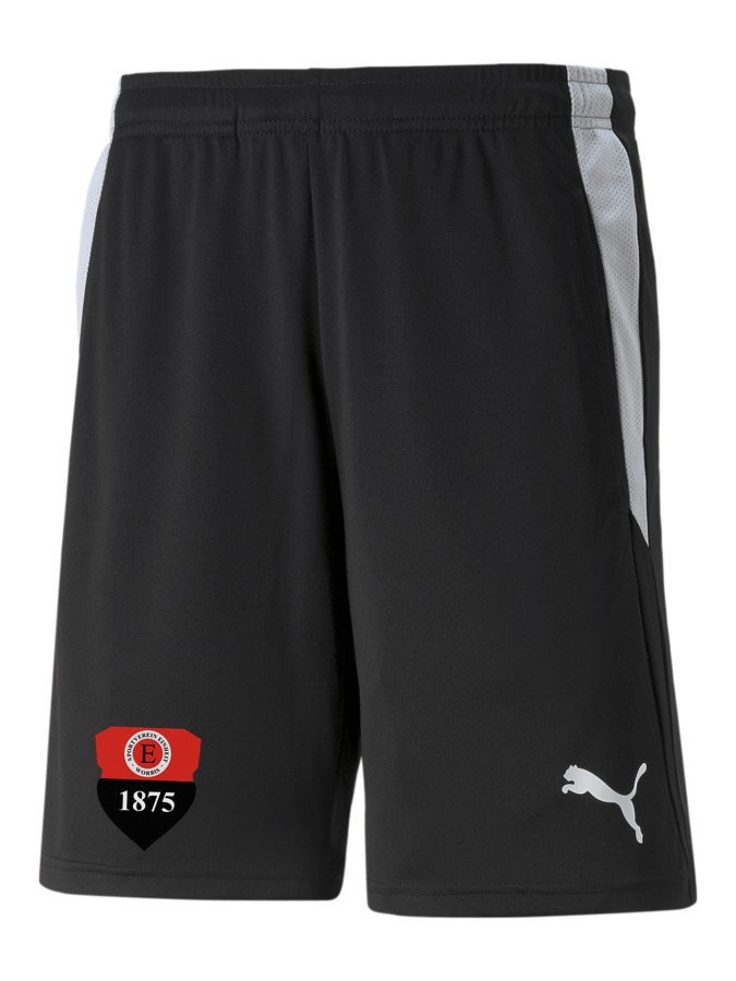 PUMA teamLIGA Referee Shorts