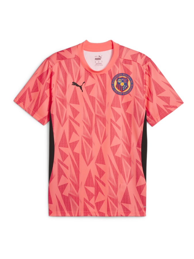 PUMA individualFINAL Trikot