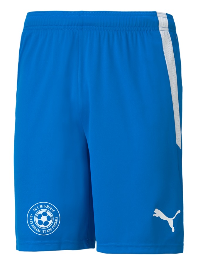 PUMA teamLIGA Shorts