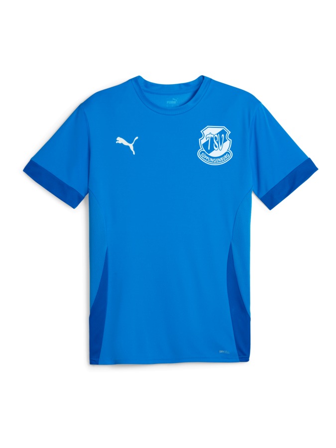 PUMA teamGOAL Matchday Trikot