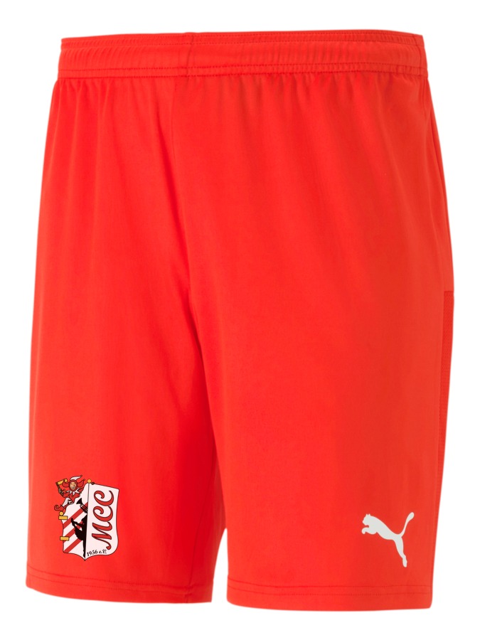 PUMA teamGOAL 23 Knit Shorts