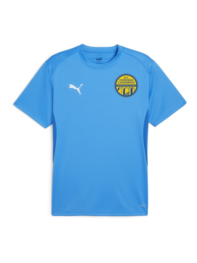 PUMA teamGOAL Trikot