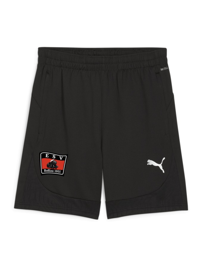 PUMA teamFINAL Training Shorts