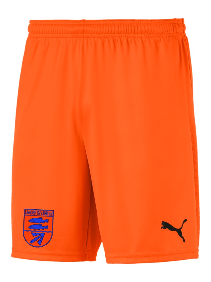 PUMA teamGOAL 23 Knit Shorts