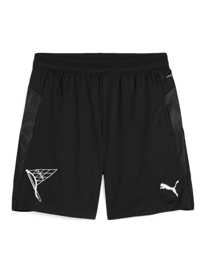 PUMA teamCUP Training Shorts