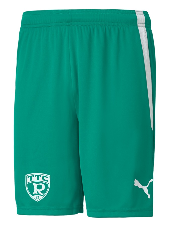 PUMA teamLIGA Shorts