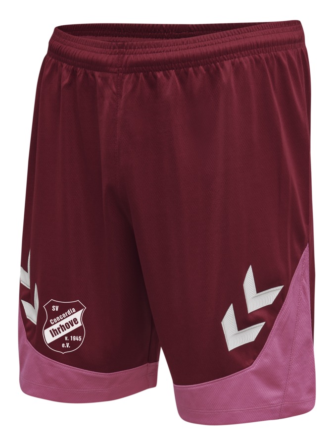 Hummel Lead Trainingsshorts
