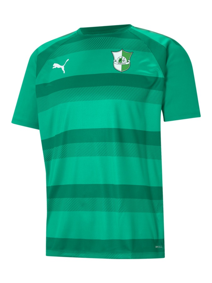 PUMA teamVISION Trikot