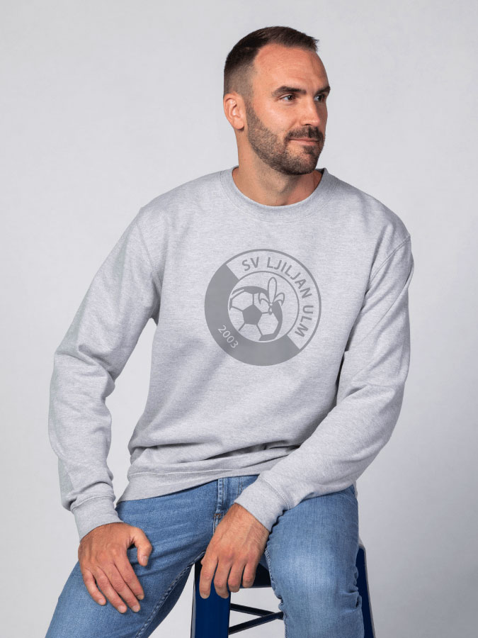 Sweater All Grey Herren