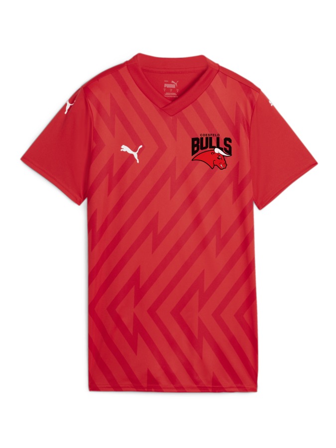 PUMA teamGLORY Trikot Damen