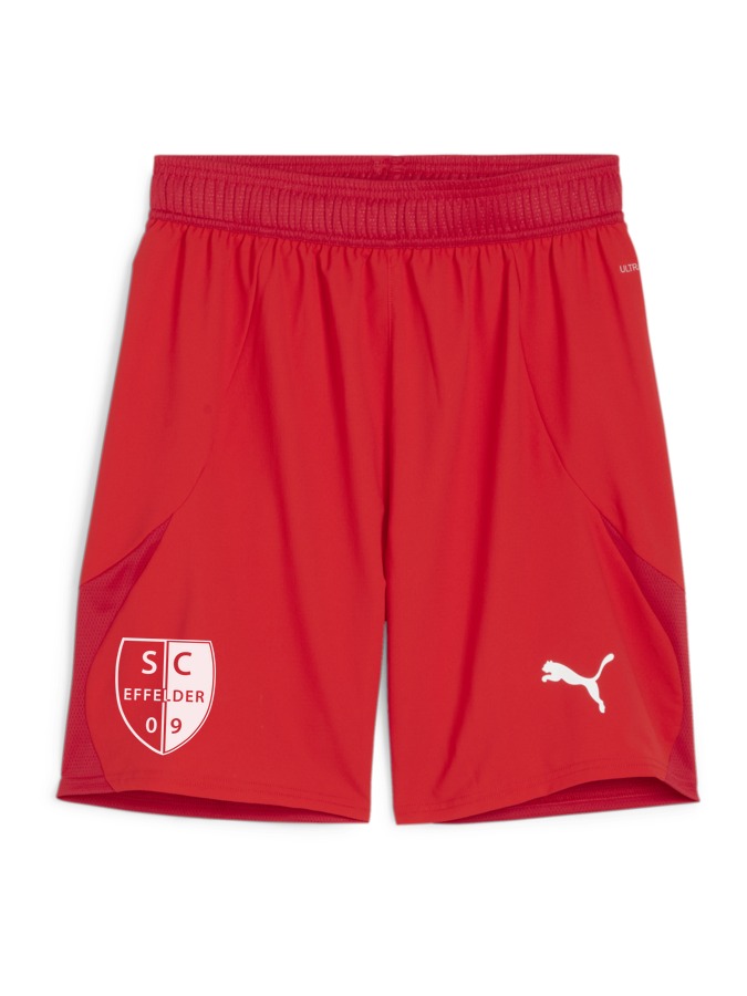 PUMA teamFINAL Shorts